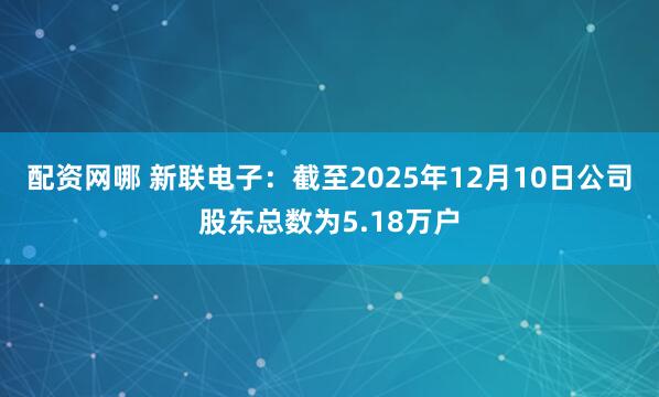 配资网哪 新联电子：截至2025年12月10日公司股东总数为5.18万户
