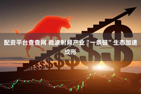 配资平台查查网 微波射频产业“一条链”生态加速成形