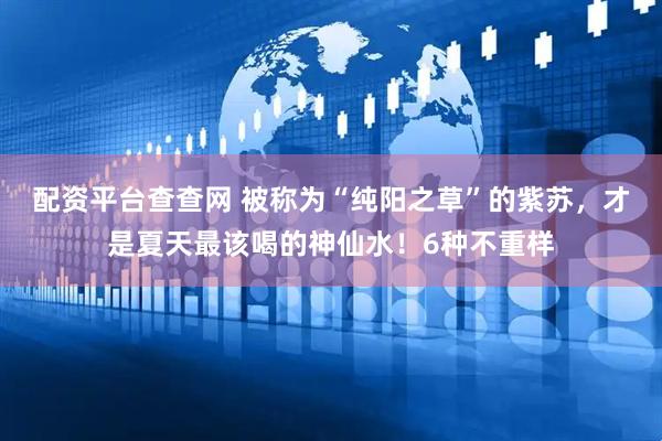 配资平台查查网 被称为“纯阳之草”的紫苏，才是夏天最该喝的神仙水！6种不重样